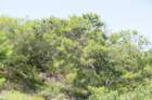 dsc03552_small.jpg