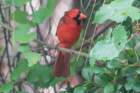 dsc03556_small.jpg