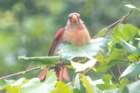 dsc03559_small.jpg