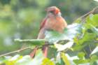 dsc03563_small.jpg