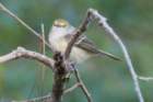 dsc03576_small.jpg