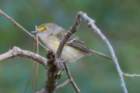 dsc03578_small.jpg