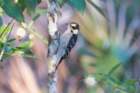 dsc03579_small.jpg