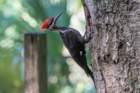 dsc03620_small.jpg