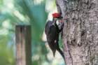 dsc03627_small.jpg