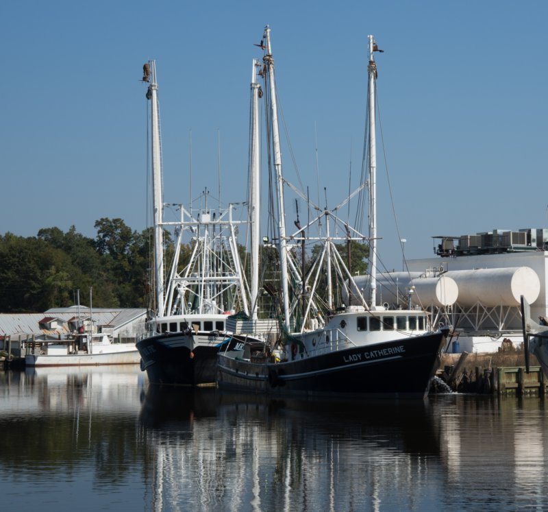 oct2014bayoulabatreneworleansalabamadsc05955.jpg