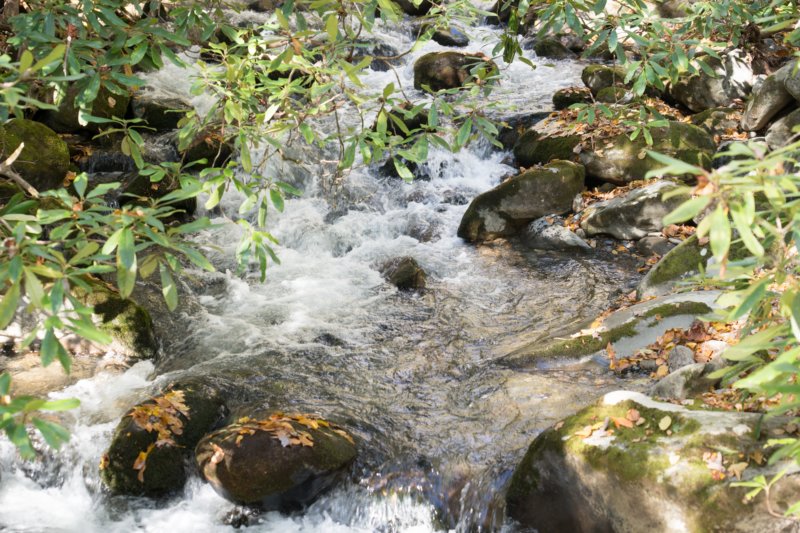 oct2014riveratlogbridgeonkephartprongtrailingreatsmokymountainsnorthcarolinadsc05945.jpg