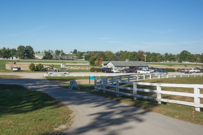 sep2014kentuckyhorseparkdsc05283.jpg