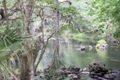 2015-05-16_hillsborough_river_sp.jpg