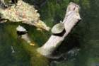 dsc06521_small.jpg