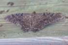 longkeysp06302015dsc066442_small.jpg