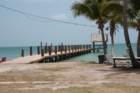 pigeonkey07012015dsc0497308_small.jpg