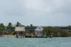 pigeonkey07012015dsc0497310_small.jpg