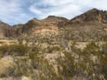 cwip_img_1283_small.jpg