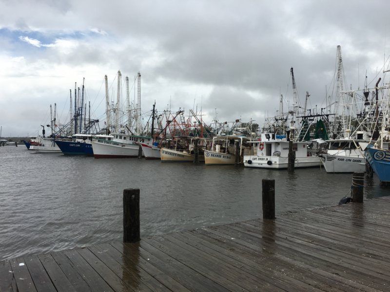 CWIP_IMG_1591 cwip_img_1591.jpg