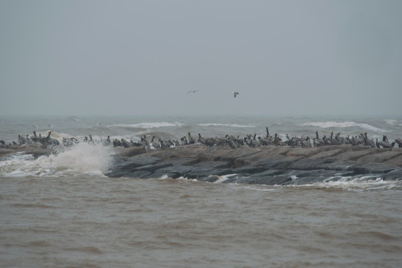 SONY_DSC_08558 sony_dsc_08558.jpg