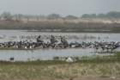 sony_dsc_08655_small.jpg