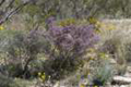 sony_dsc_08748_small.jpg