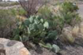 sony_dsc_08758_small.jpg