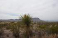 sony_dsc_08823_small.jpg