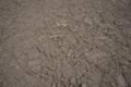 sony_dsc_08830_small.jpg