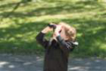 sony_dsc_08868_small.jpg