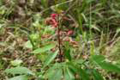 sony_dsc_08909_small.jpg