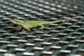 sony_dsc_08963_small.jpg