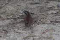 sony_dsc_09037_small.jpg