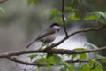 sony_dsc_09044_small.jpg