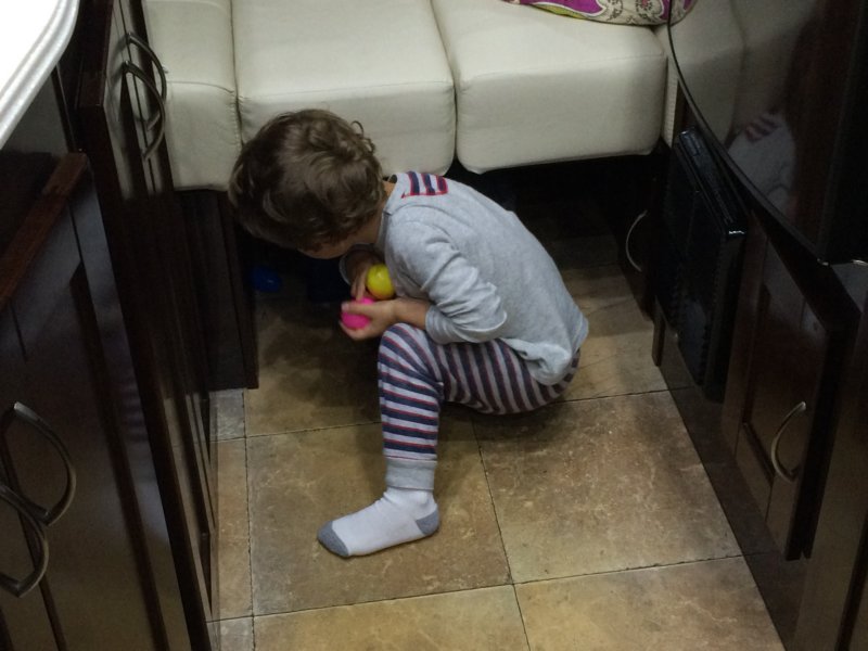 SWIP_IMG_1493 swip_img_1493.jpg