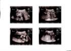 _vincent_10002_small.jpg