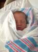 _vincent_10039_small.jpg