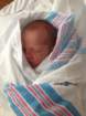 _vincent_10040_small.jpg