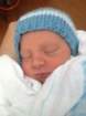 _vincent_10041_small.jpg