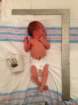 _vincent_10044_small.jpg
