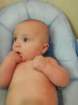 _vincent_10129_small.jpg