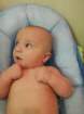 _vincent_10130_small.jpg