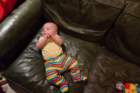 _vincent_10155_small.jpg
