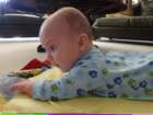 _vincent_10161_small.jpg
