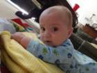 _vincent_10162_small.jpg