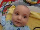 _vincent_10163_small.jpg
