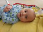 _vincent_10164_small.jpg