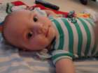 _vincent_10167_small.jpg