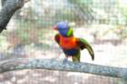dsc06202_small.jpg