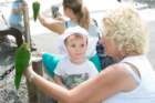 dsc06227_small.jpg