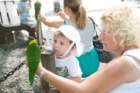 dsc06229_small.jpg