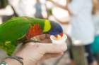 dsc06231_small.jpg