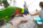 dsc06233_small.jpg