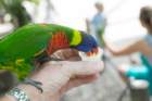 dsc06234_small.jpg